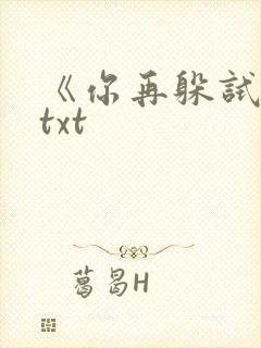 《你再躲试试》txt