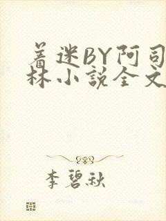 着迷BY阿司匹林小说全文免费阅读