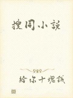 搜同小说