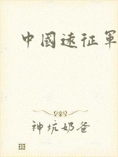 中国远征军小说