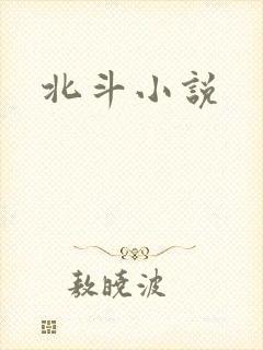 北斗小说