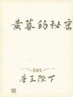 黄蓉的秘密