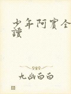 少年阿宾全集阅读