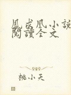 凤求凰小说免费阅读全文