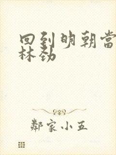 回到明朝当王爷林劲