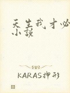 天生我才必有用小说