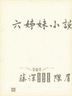 六姊妹小说
