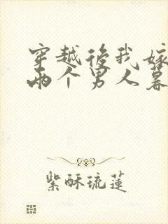 穿越后我嫁给了两个男人暮色酒歌