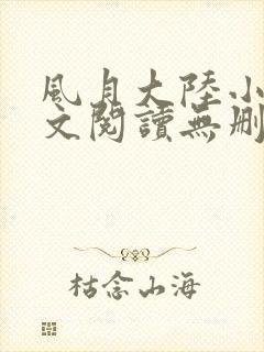 风月大陆小说全文阅读无删减