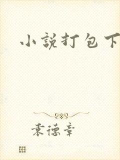 小说打包下载