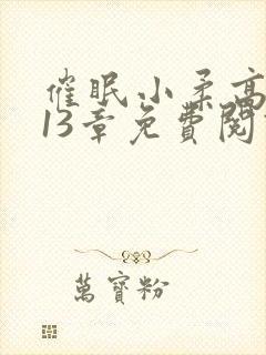 催眠小柔高达第13章免费阅读