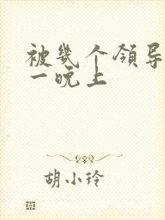 被几个领导玩弄一晚上