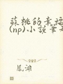 苏桃的幸福生活(np)小说笔趣阁沐沐