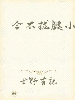 合不拢腿小说