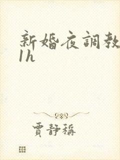 新婚夜调教1v1h