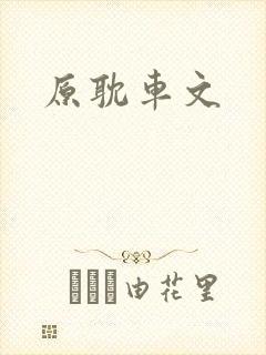 原耽车文