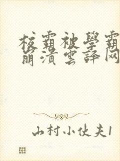 校霸被学霸玩到崩溃云译网