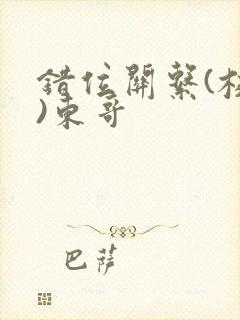 错位关系(校园)东哥