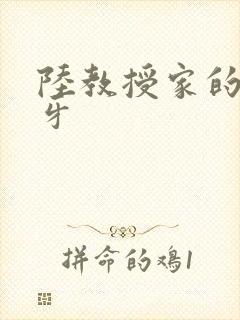 陆教授家的小月牙