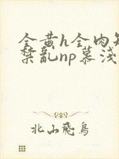 全黄h全肉短篇禁乱np慕浅浅