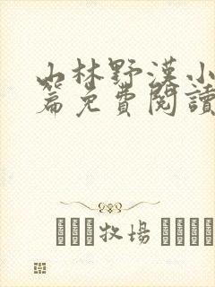 山林野汉小说全篇免费阅读