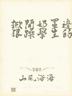 掀开奶罩边躁狠狠躁学生的小文字