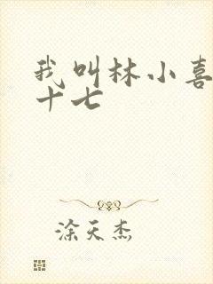我叫林小喜今年十七
