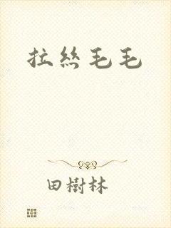 拉丝毛毛