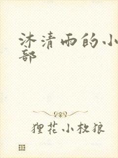 沐清雨的小说全部