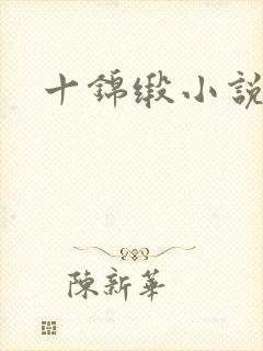 十锦缎小说