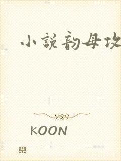小说韵母攻略