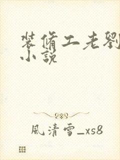 装修工老刘林雪小说