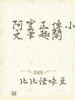 阿宾正传小说全文笔趣阁