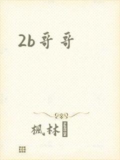 2b哥哥