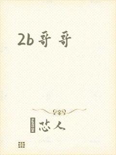 2b哥哥