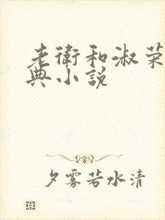 老卫和淑荣的经典小说