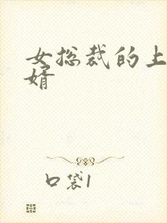 女总裁的上门女婿