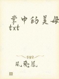 掌中的美母版主txt