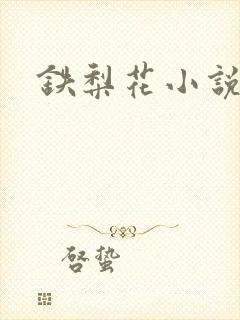 铁梨花小说