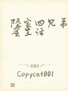 陆家四兄弟的甜蜜生活