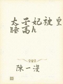 太子妃被皇上强睡高h