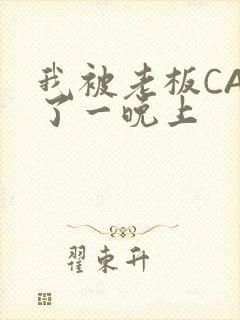 我被老板CAO了一晚上