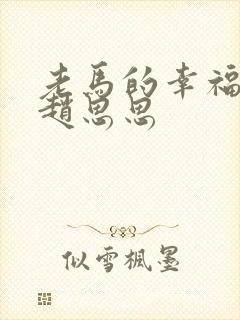 老马的幸福生活赵思思