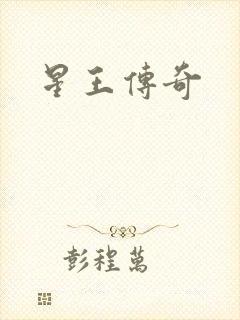 星王传奇
