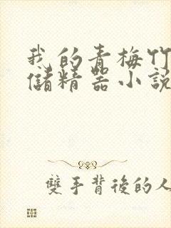 我的青梅竹马是储精器小说