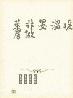 叶非墨温暖在厨房做