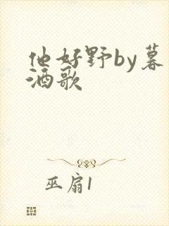 他好野by暮色酒歌