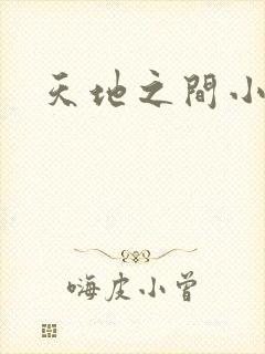 天地之间小说