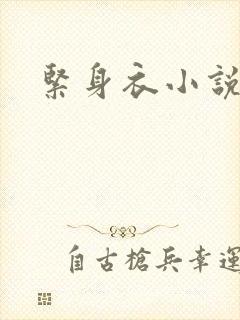 紧身衣小说