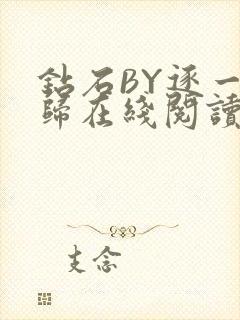 钻石BY逐一而归在线阅读